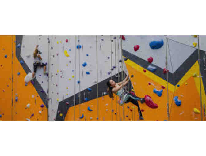 First Ascent Climbing and Fitness - 2 youth rec classes