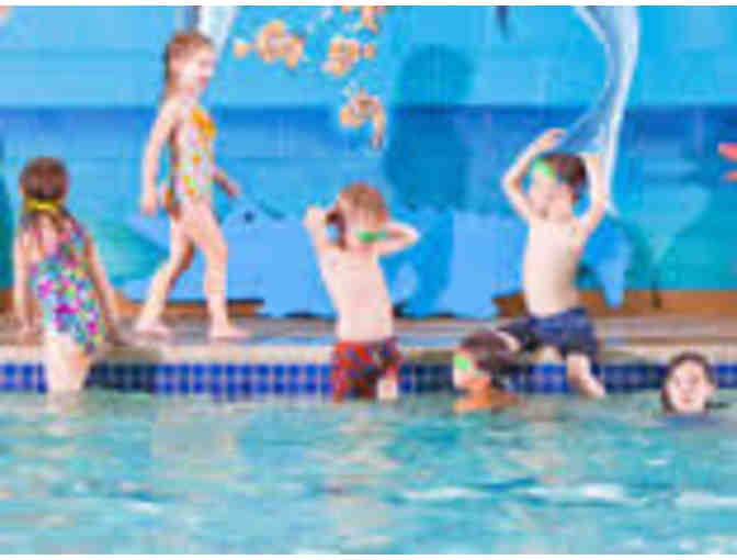 Chicago Blue Dolphin Swim lessons - 8 weeks of kids group classes and 2 private lessons