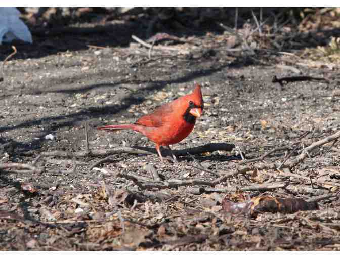 Birding Expedition with Stone Parents Bob Dolgan and Kristin Sanders