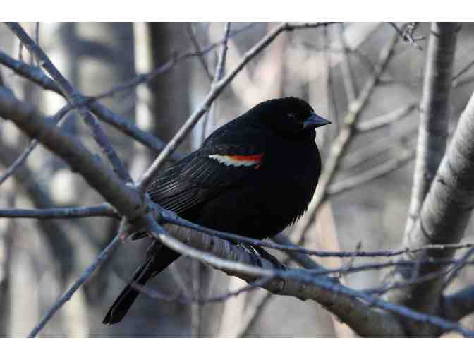 Birding Expedition with Stone Parents Bob Dolgan and Kristin Sanders