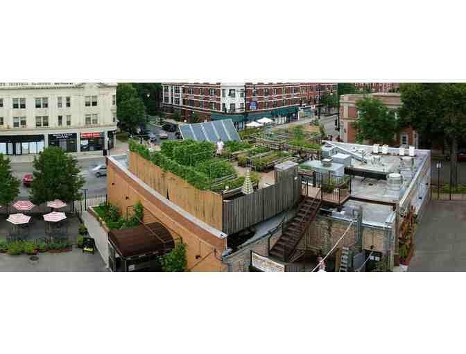 Uncommon Ground - Tour for 10 of the First Certified Organic Roof Top Farm in the country