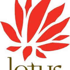 Lotus Foundation