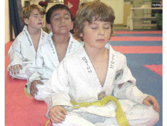 Napa Tae Kwon Do Academy: 1 Month Unlimited Classes