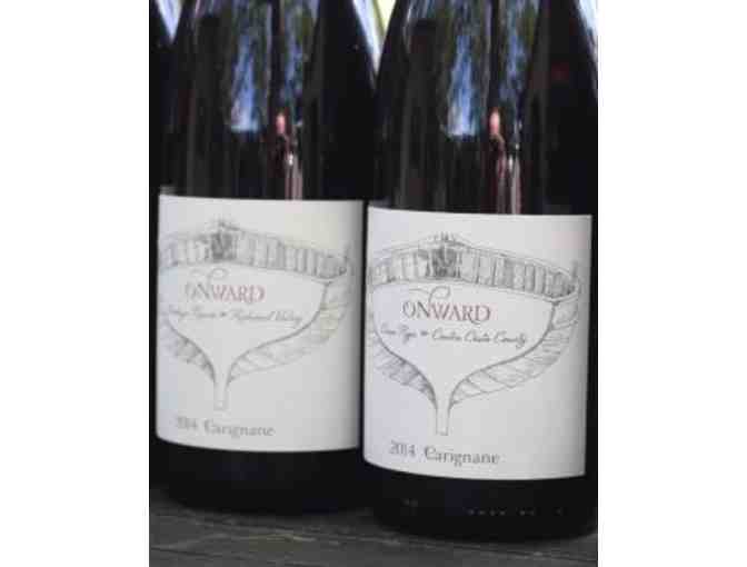Carignane: Two Single Vineyard Carignane Wines by Onward - 2 Bottles