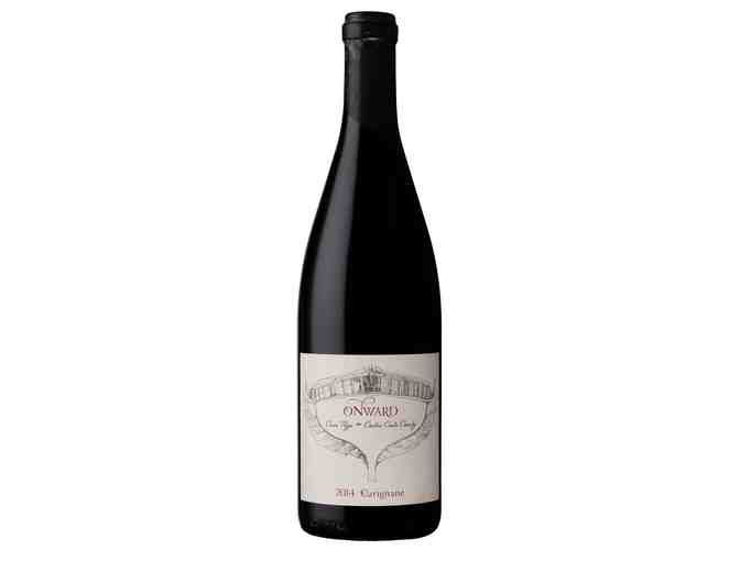 Onward Single Vineyard Red Wines: Pinot Noir & Carignane - 3 Bottles