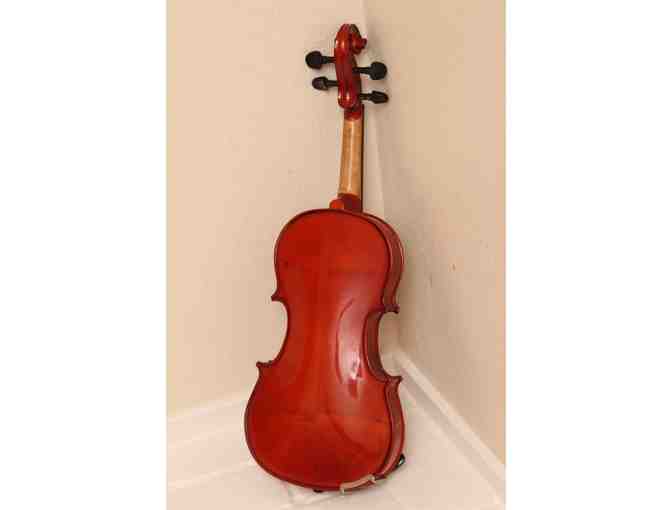 Meadow Violin, 3/4 Size