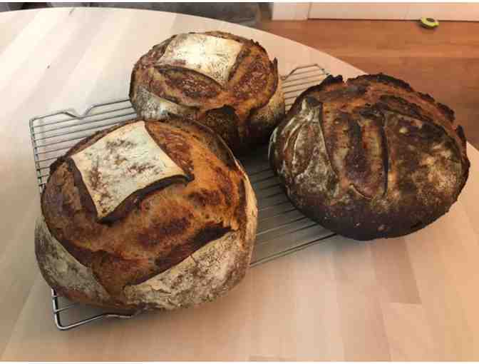 Sourdough Bread - Fresh & Organic - Weekly 3-Month Subscription (lot 1 of 2)
