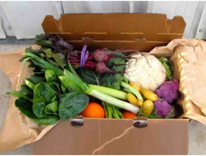Organic Veggie Box from Riverdog Farm CSA - 4-Week Subscription