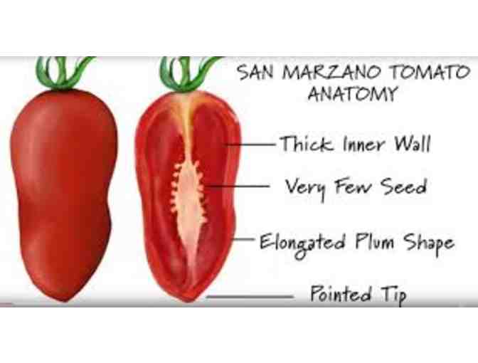 San Marzano Tomatoes - Summer 2021 Delivery