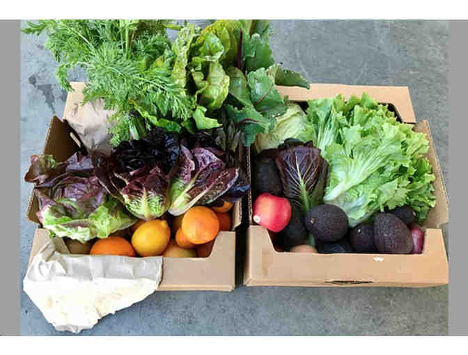 Napa Wild - Large Vegetable Box + Olive Oil + Delivery