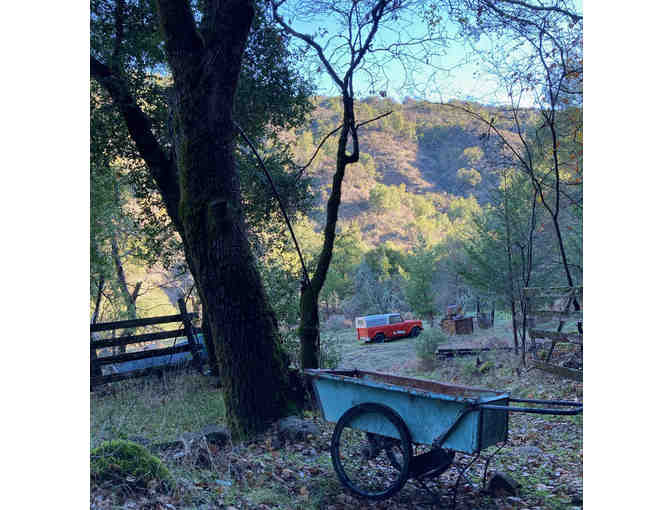 Family Nature Therapy Day at Pickle Creek Ranch, Napa + Authentic Mexican Lunch