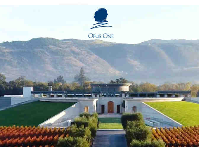 Private Opus One Experience for 6 People - Photo 1