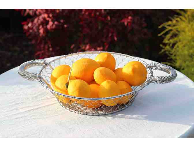 Fresh Organic Meyer Lemons in a Decorative Wire Basket + 5-pack of Fruit Fly Bags