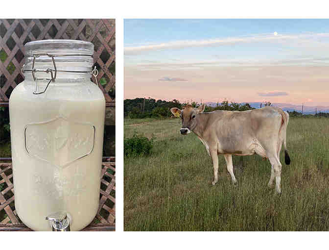 Farm Fresh Milk - 2 Months of Milk from Pickle Creek Ranch - Local Napa Pickup or Delivery