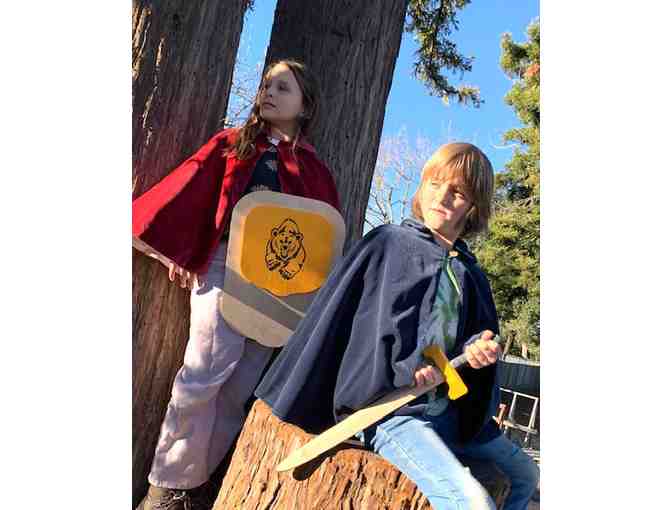 Enchanted Village Faire Experience: SWORD, CAPE, SHIELD + TICKETS for TWO Lucky Kids! - Photo 1