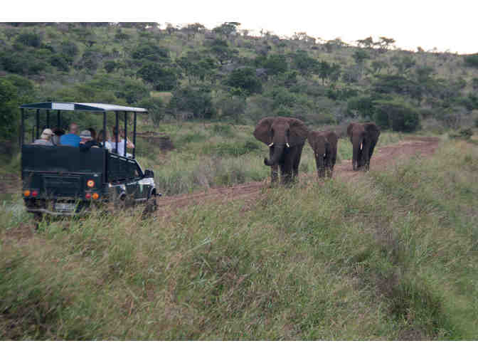 6 night South African Safari Package for 2 from Zulu Nyala