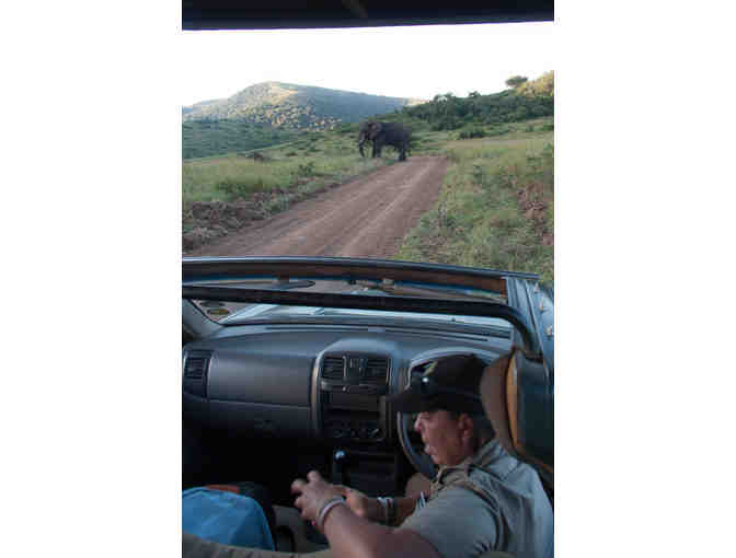 6 night South African Safari Package for 2 from Zulu Nyala