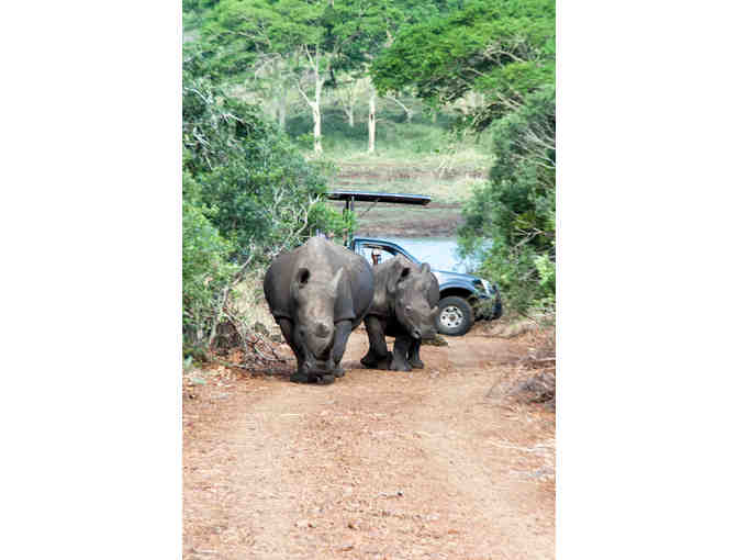 6 night South African Safari Package for 2 from Zulu Nyala