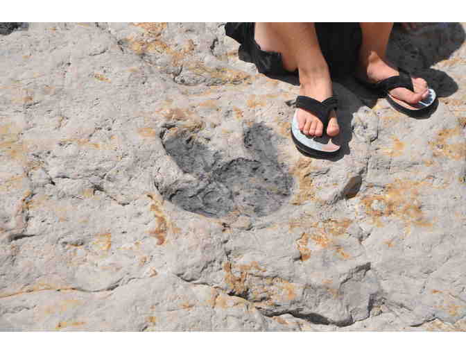 Dinosaur Lover's Package: Dinosaur Ridge & Morrison Natural History Museum