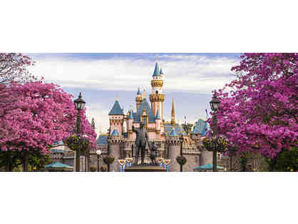 4 Disney One-Day Park Hopper Passes