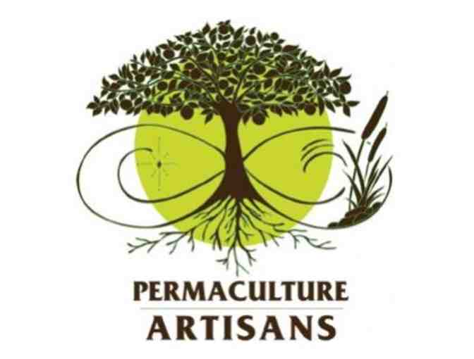 1 hour Permaculture Consultation