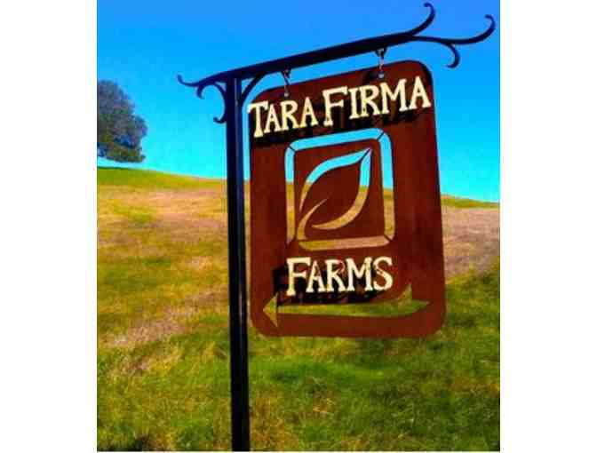 Private Tour at Tara Firma Farms + Hors D-oeuvres & Wine for 40!