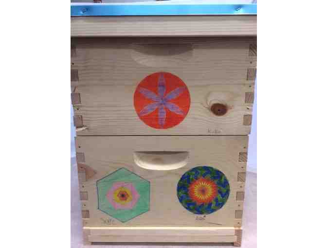 Geometry of Bees Bee Box by Class 6