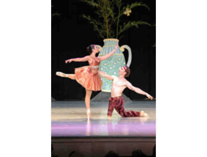 Sebastopol Ballet School Lessons