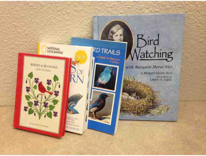 Birdwatching Basket - Morningstar Kindergarten