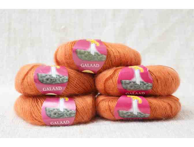 Galaad Yarn - 5 balls of Pumpkin