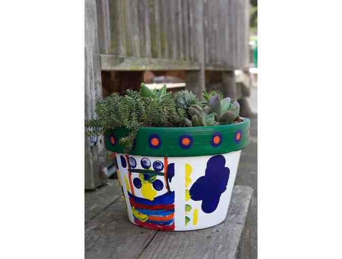 Dot - Succulent painted pot - Class 2