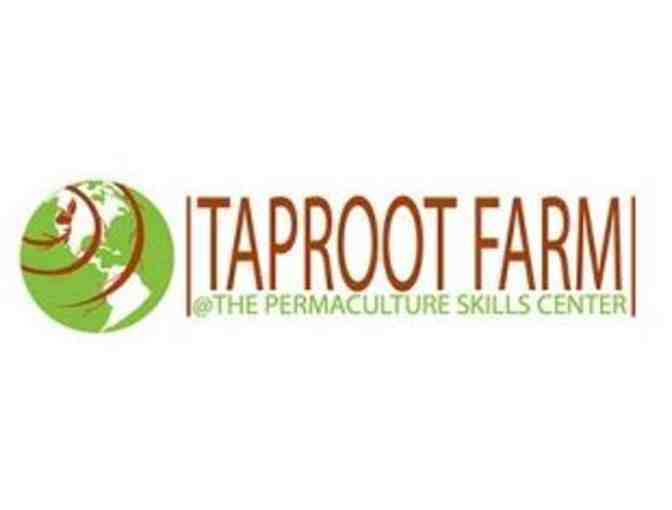Permaculture Homestead Workshop for Families