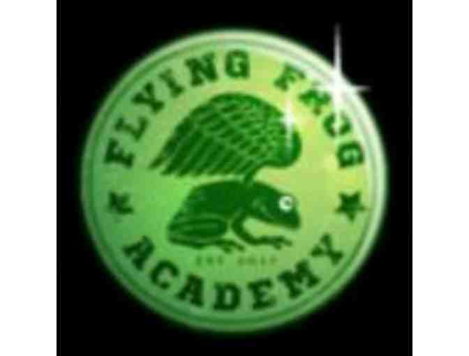Flying Frog Academy--2 Open Gym Passes