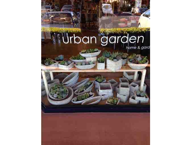 $25 gift card to use at Urban Garden, Santa Rosa - Photo 1
