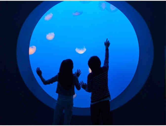 Two-Night getaway at Monterey Plaza Hotel & Spa with Aquarium Tickets