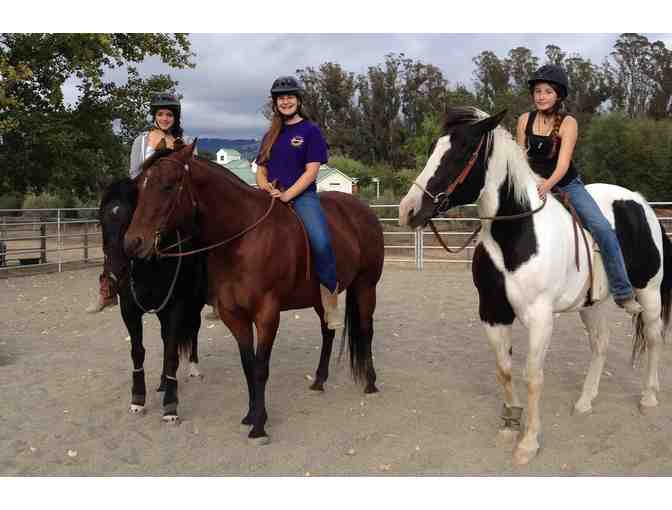 One 1-Hour Horseback Riding Lesson at Crossroads Ranch in Penngrove