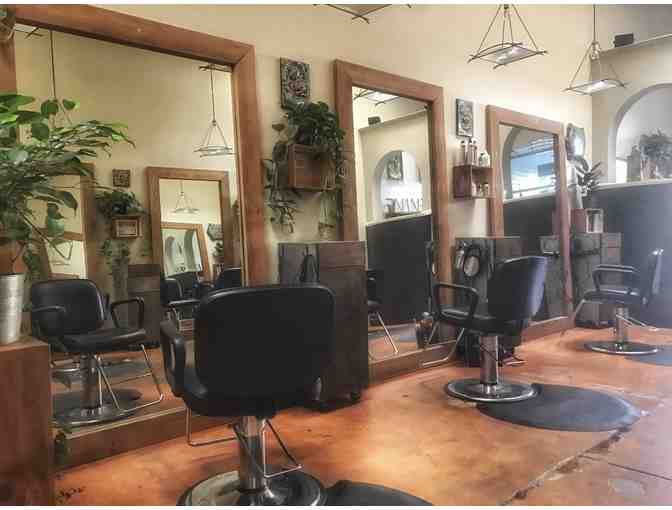 Highlight or Balayage with Haircut at Revive Hair Collective in Santa Rosa