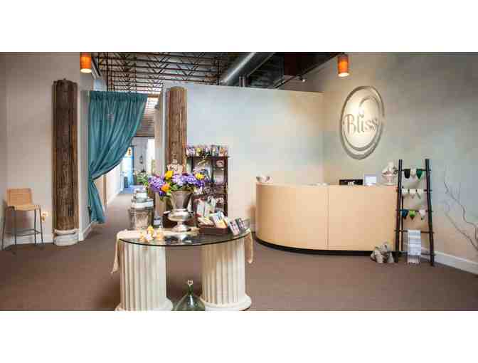 60 min Treatment of your choice at Bliss Organic Day Spa (gift certificate)