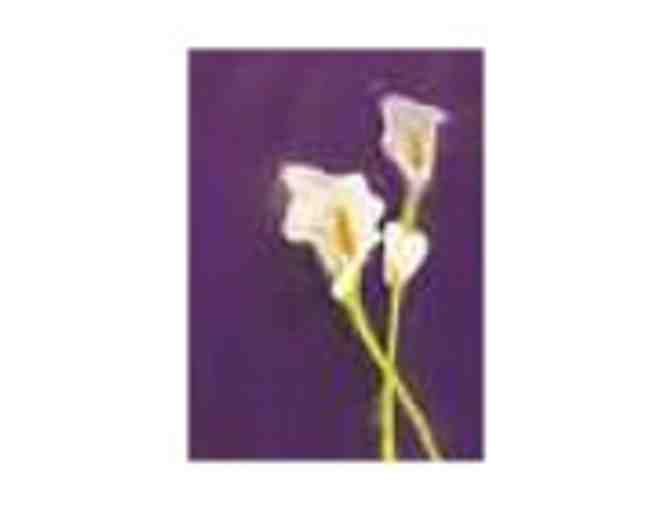 Class 6 - Lilies - Set of 8 Cards - Group 1