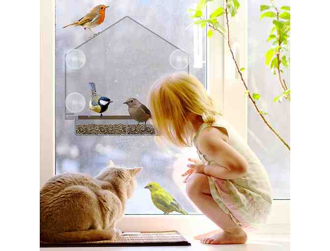 Window Bird Feeder and Seed