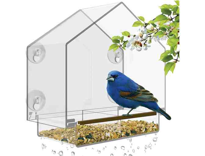 Window Bird Feeder and Seed