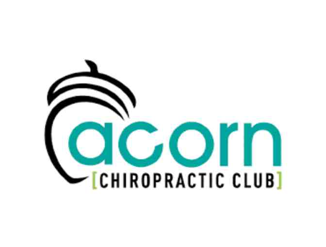 1 (one) Month of Chiropractic Care for the Family at Acorn Chriopractic Club