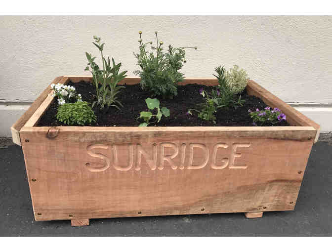Herb and Flower Garden in a Redwood Planter Box -by Class 8