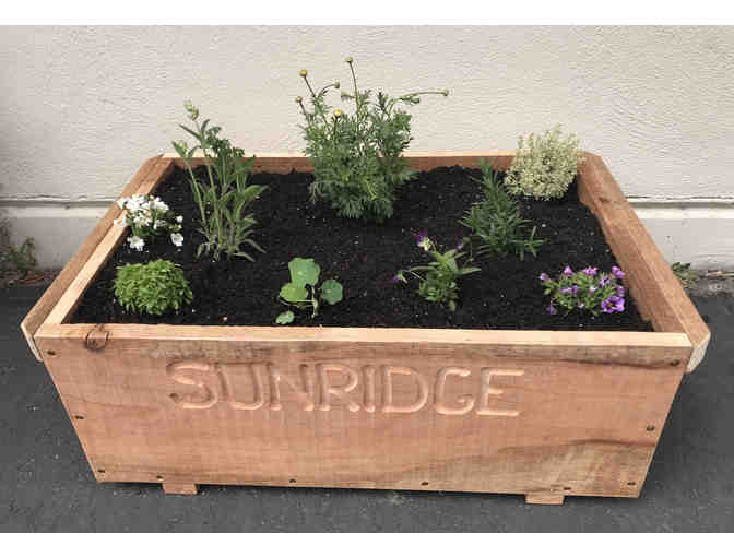 Herb and Flower Garden in a Redwood Planter Box - by Class 8
