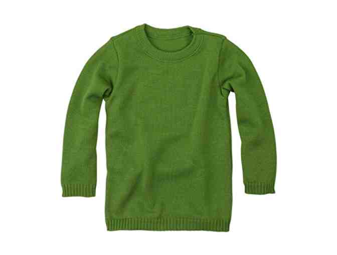Disana Organic Merino Wool Sweater, size 12-24 mo