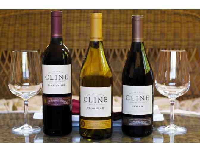 Cline Cellars VIP Tasting and cheese plate for 4