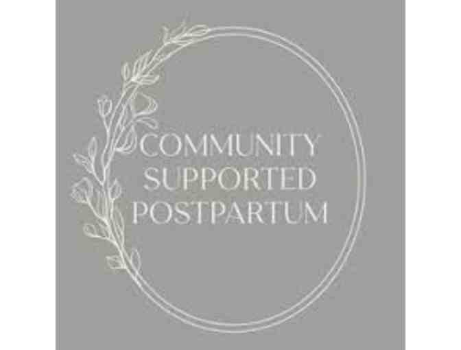 Build-Your-Nest postpartum planning package w/ Community Supported Postpartum