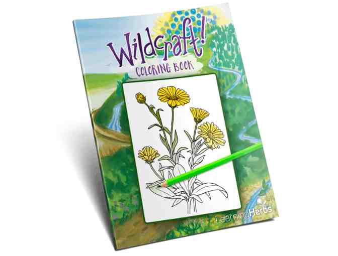 Wildcraft! Board Game from LearningHerbs
