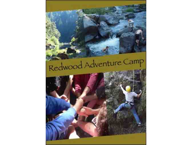 One week of Redwood Adventure Camp 2023 - Photo 2