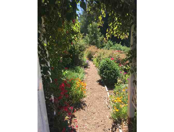 Garden Consultation with Celine Makaryk - Photo 1